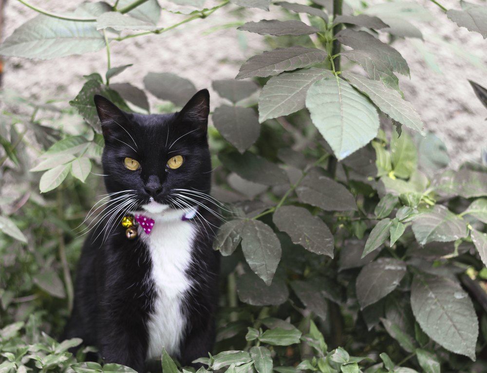 Photograph by Ricardo Sanchez Ruiz