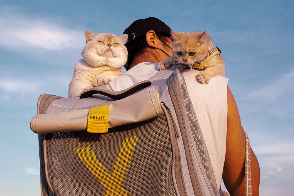 Photograph by Gil Kreslavsky