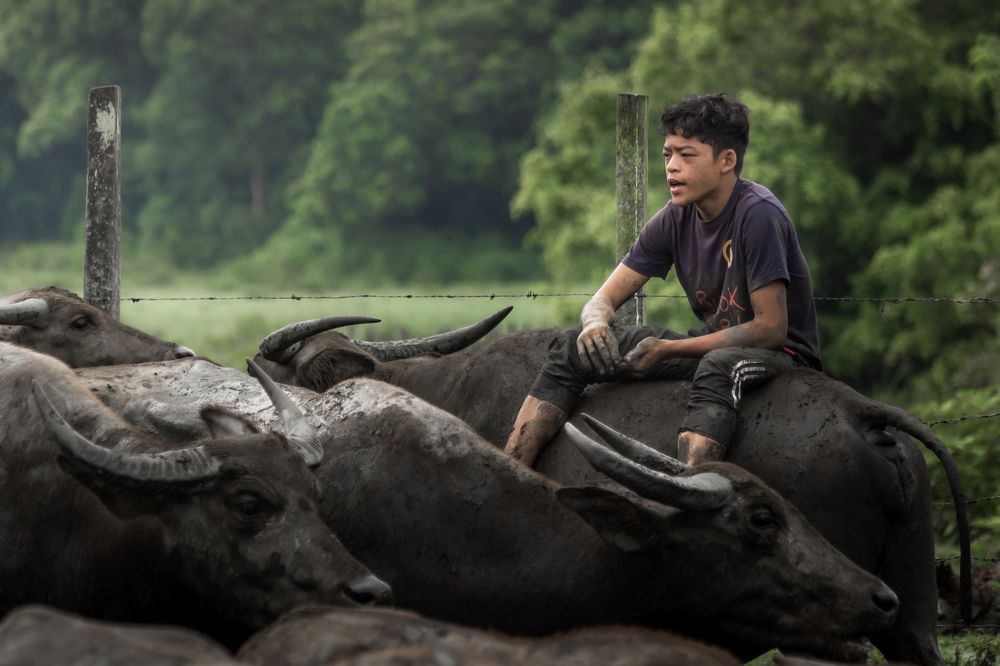 Photograph by Mohd Ezzat Moh Rasjid