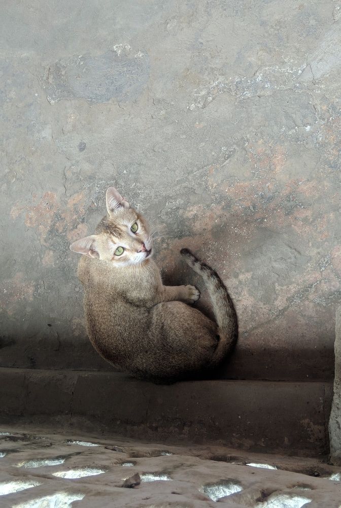 Photograph by Nishant Raj