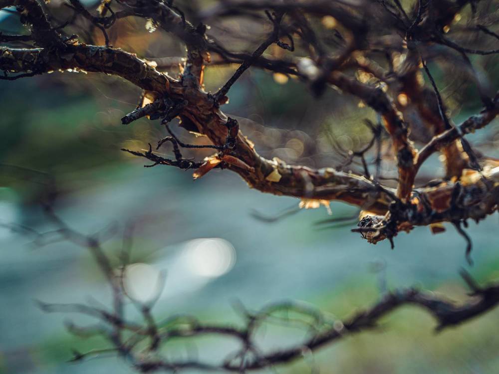 Казахстан, сказки Баянаула