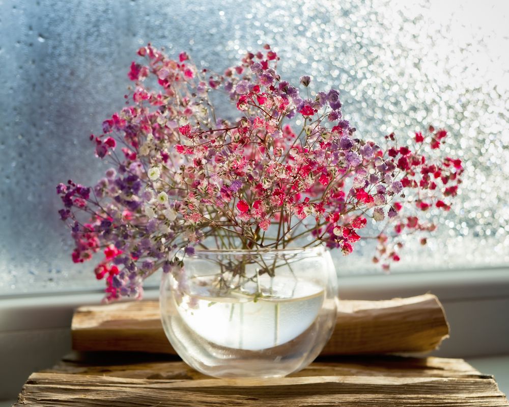 Photograph by Наталья Заровнева