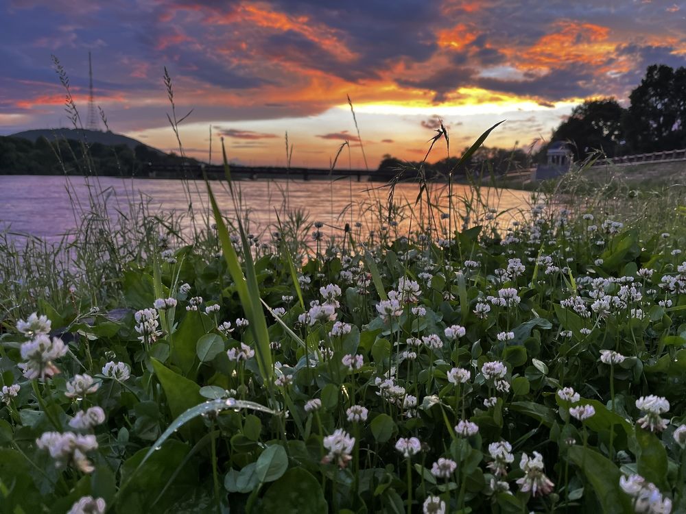 Photograph by Александр Мокров