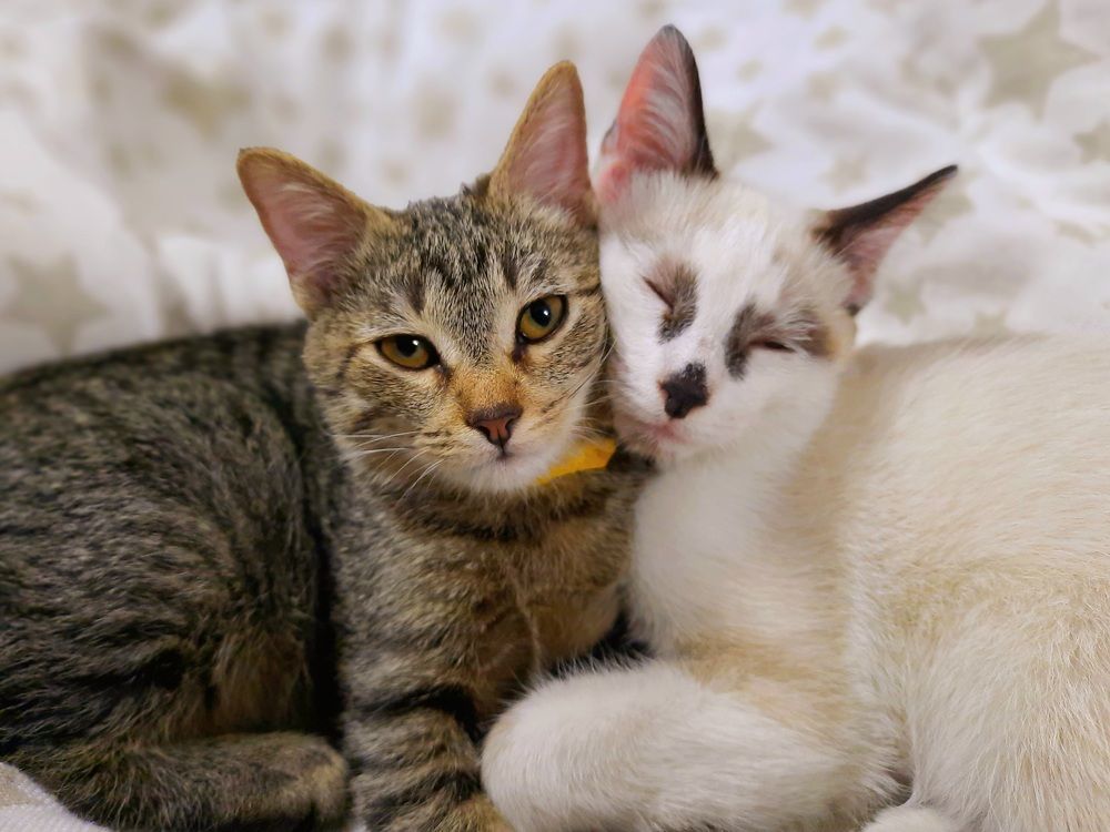 Photograph by Сергей Назаредский