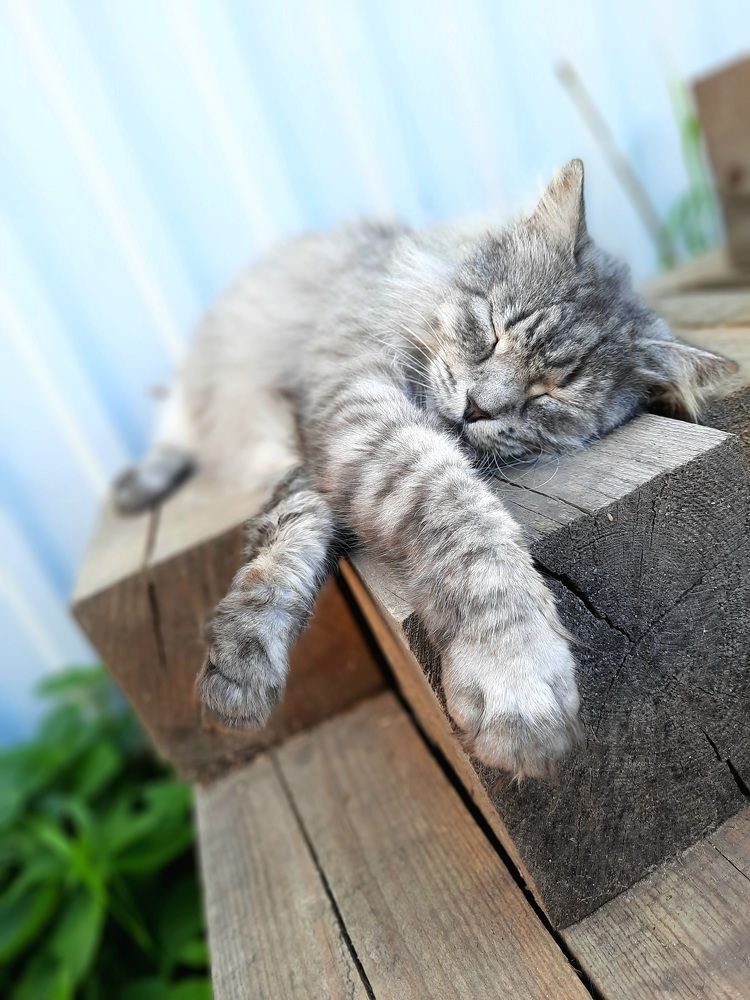 Photograph by Сергей Назаредский