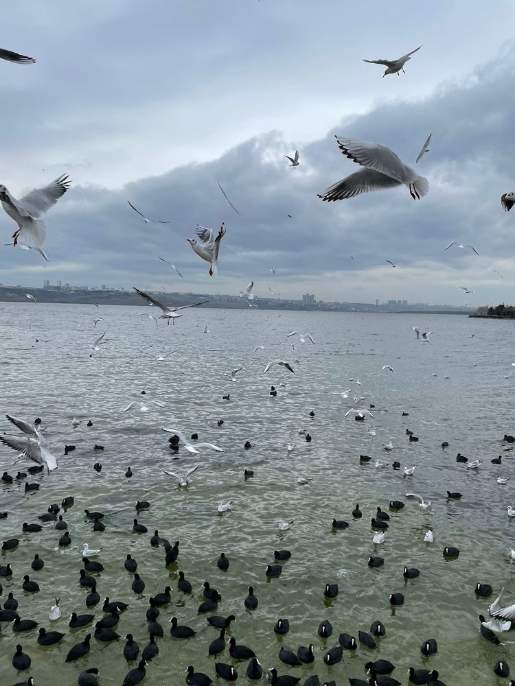 Photograph by Карлыгаш Жексенгалиева