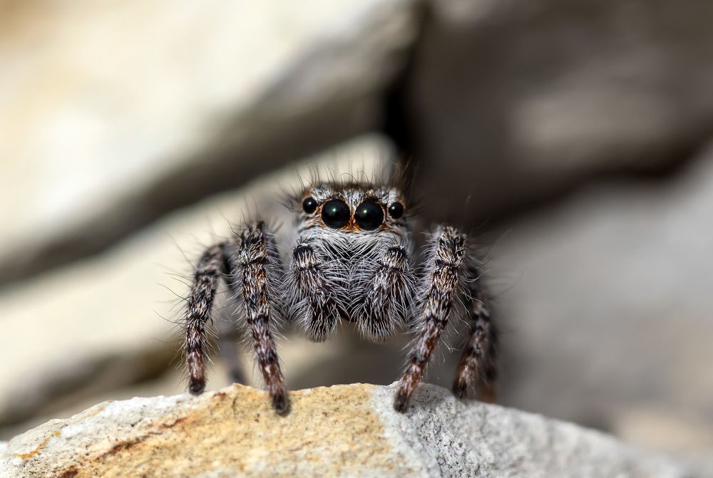 Photograph by Александр Земляной