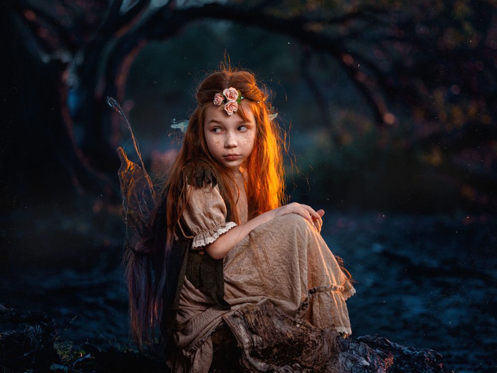 Фотография автора Дмитрий Кошкаров