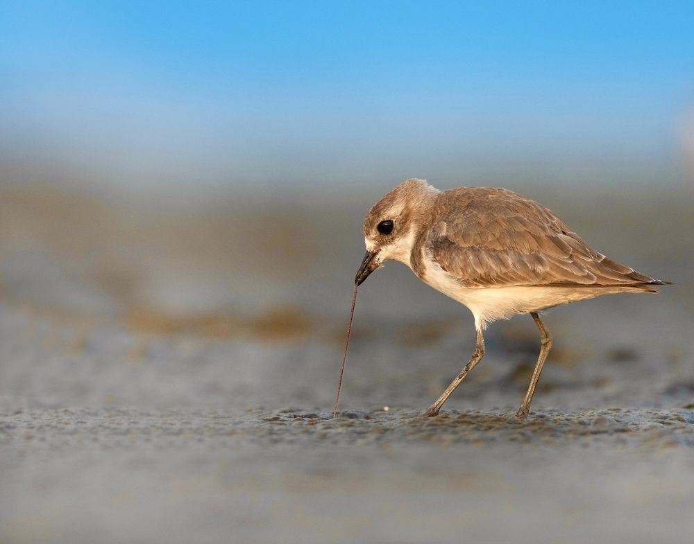 Photograph by Gunasekaran R