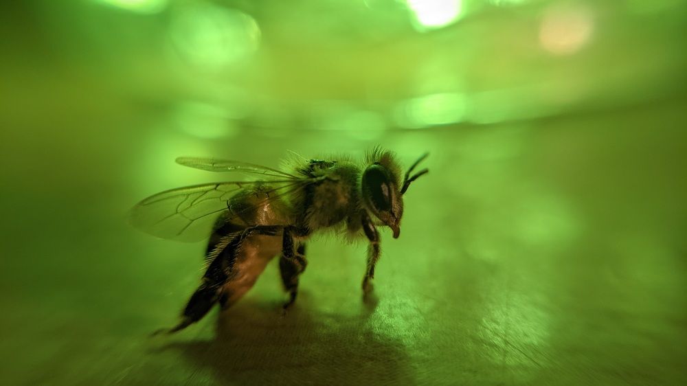 Фотография автора Ganesh Varma