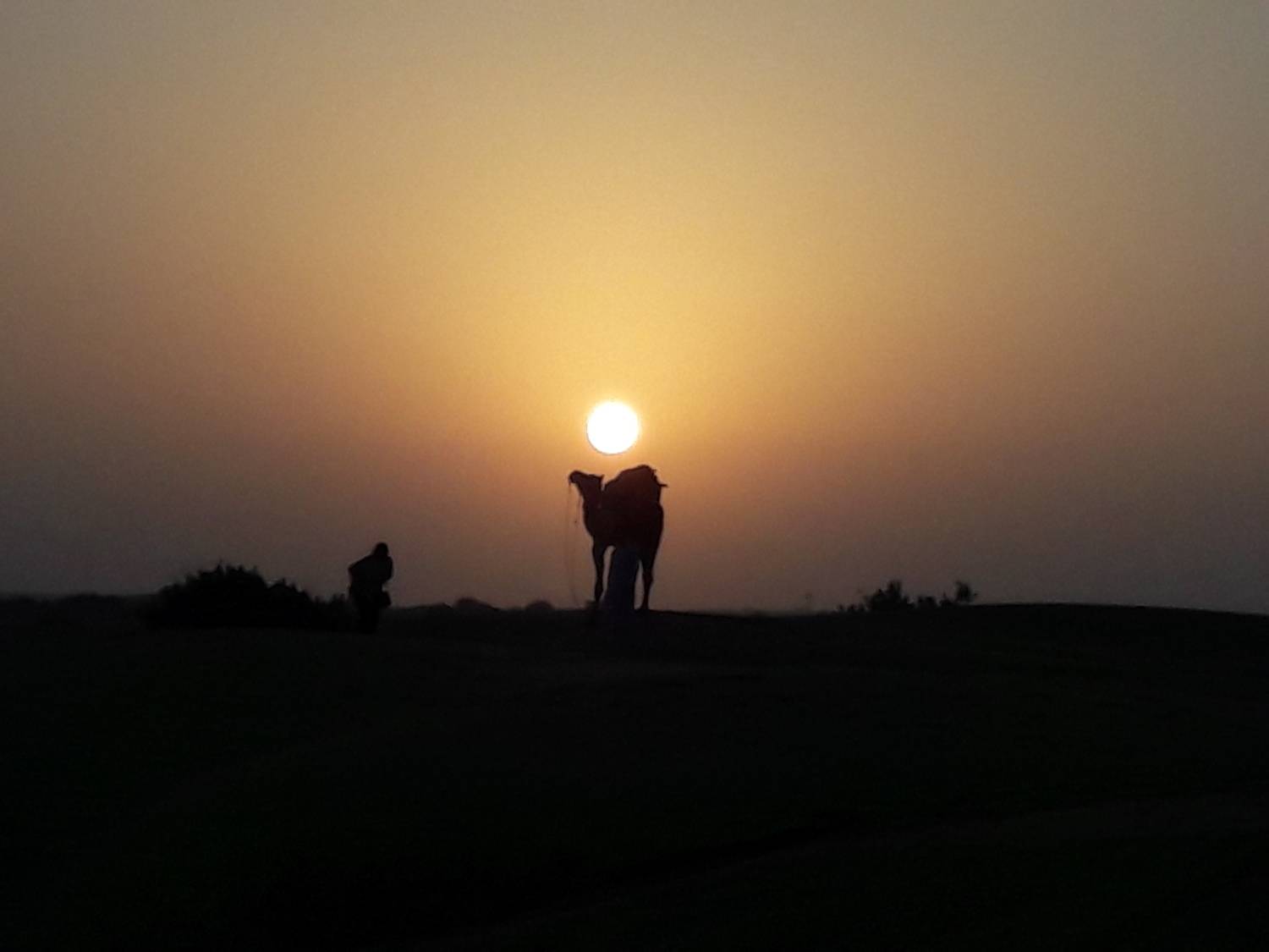 Photo #8941938