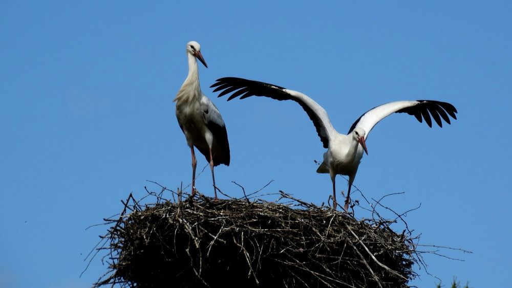 Photograph by Olga Ovagimyan