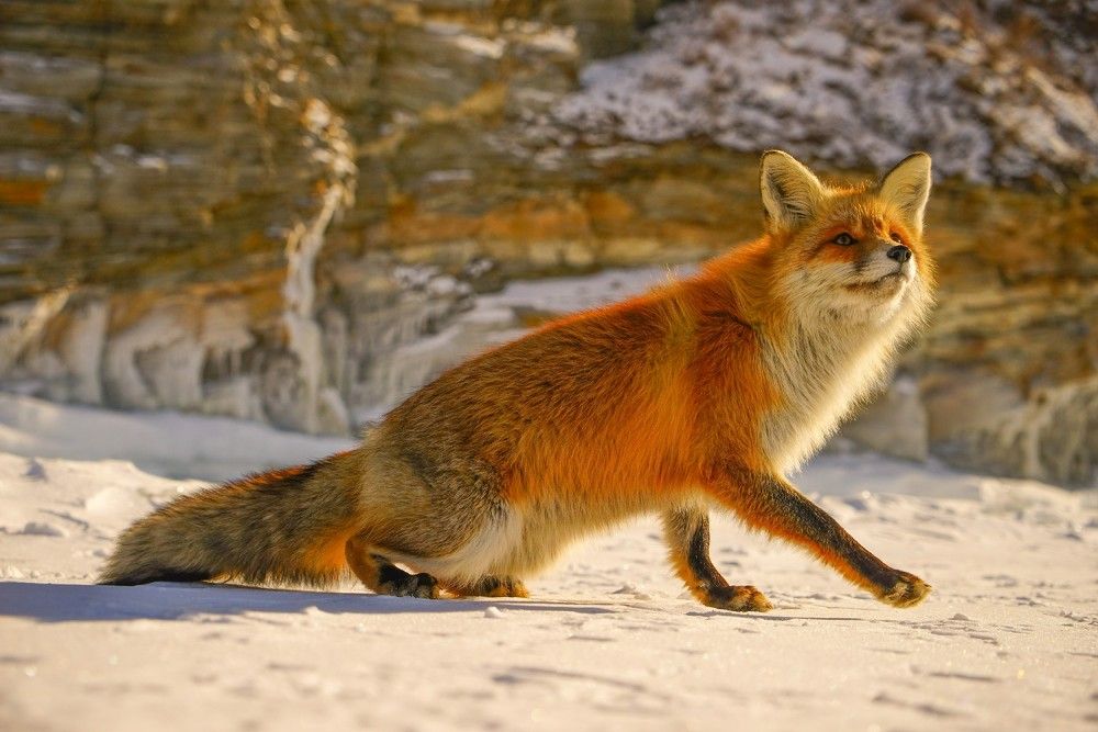 Photograph by Михаил Корнев