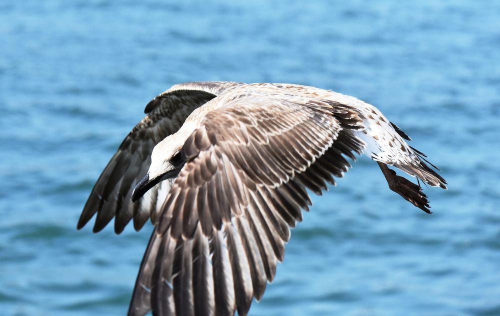 There`down something is going on, and again without me.