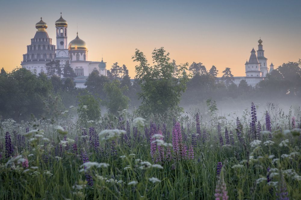 Photograph by Елена Гусева