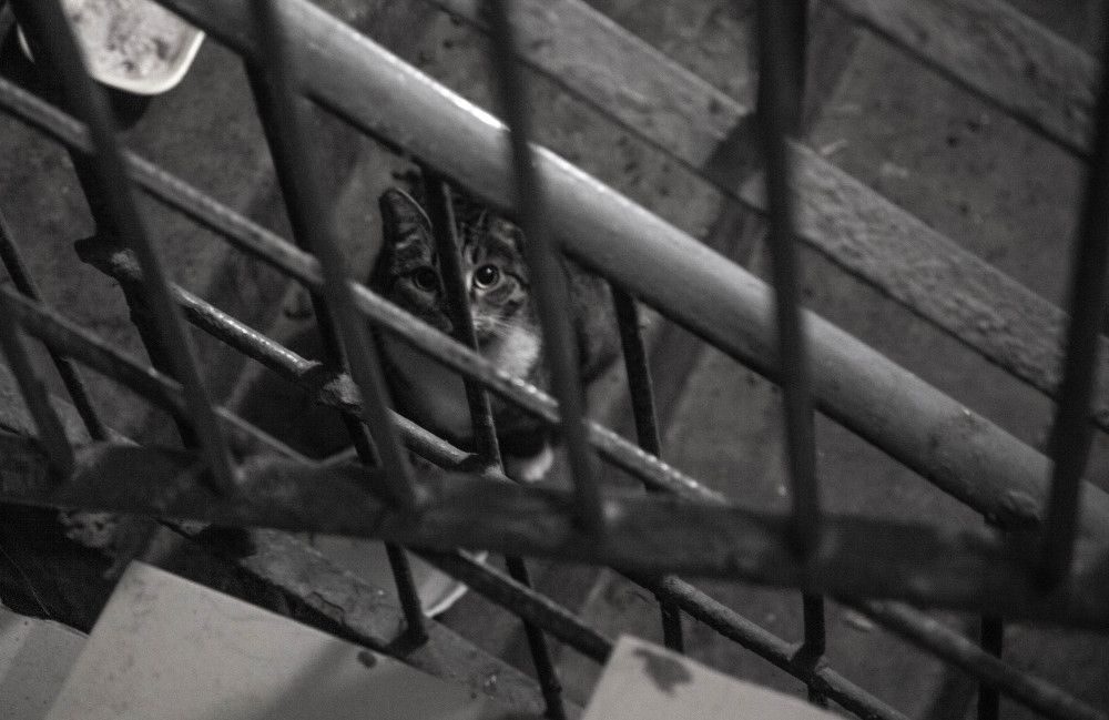 Photograph by Anton Gaev