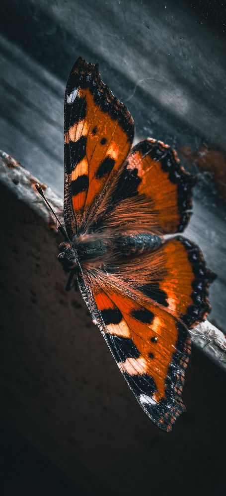 Photograph by Влад Апанасов