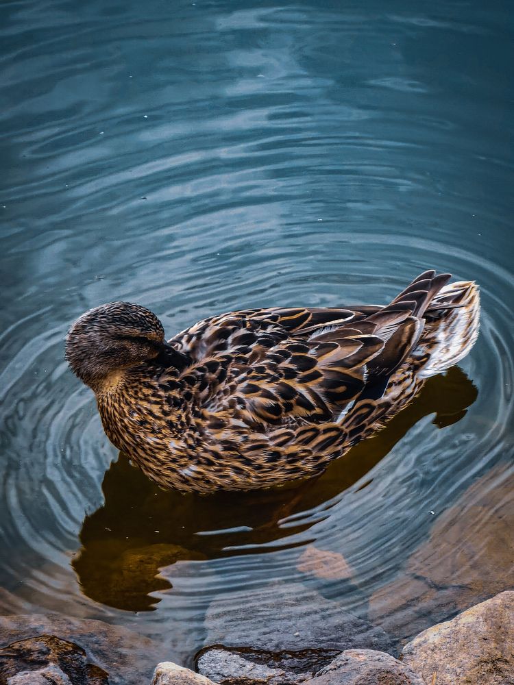 Photograph by Влад Апанасов