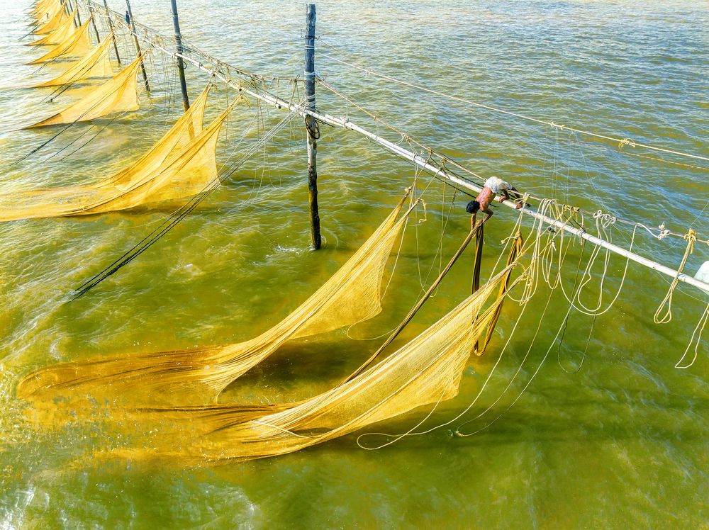 Photograph by Dung Pham