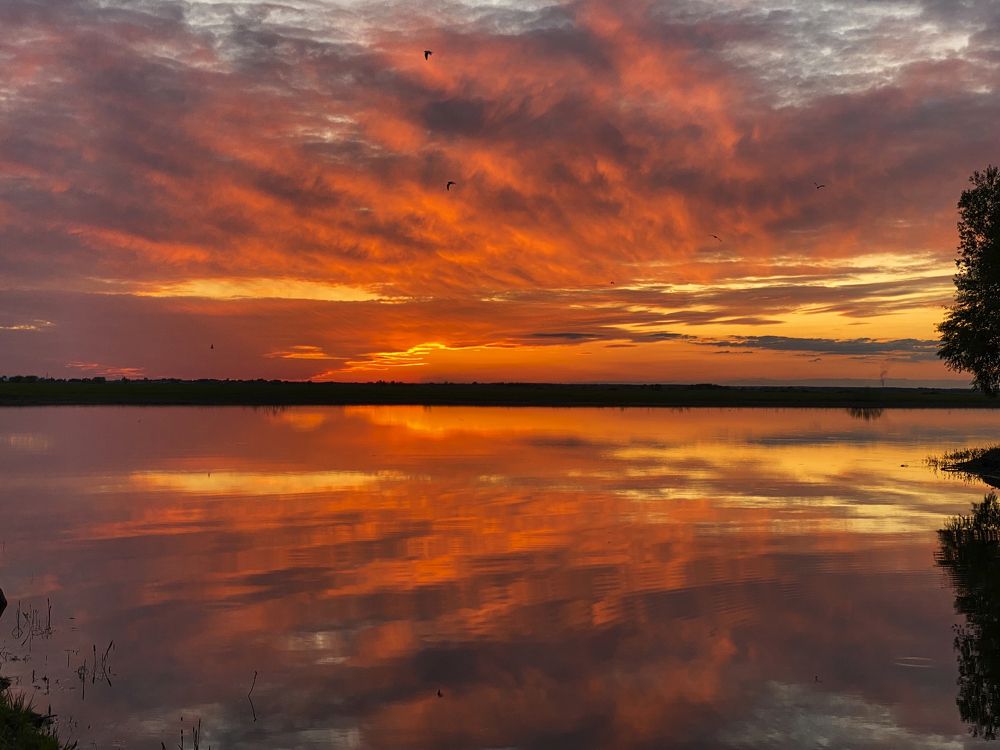 Photograph by александр лялин