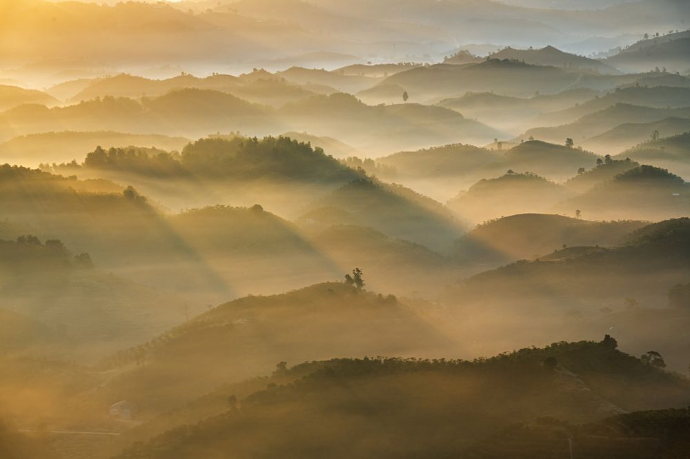 Photograph by Dung Pham