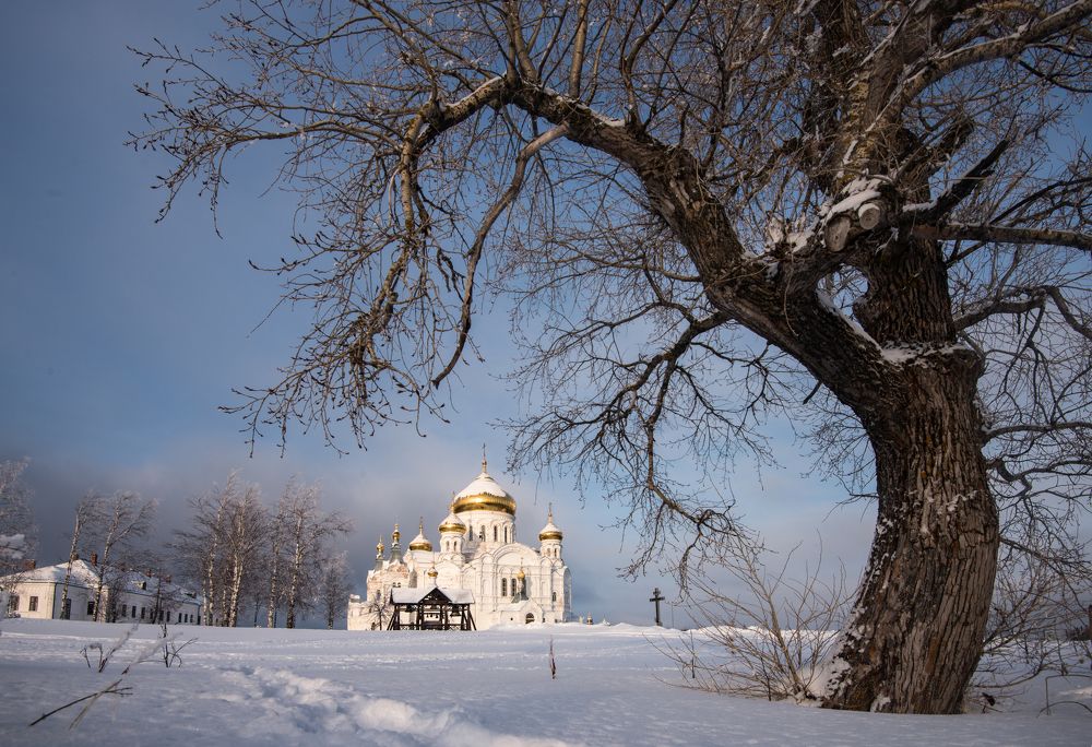 Photograph by Соколова Елена