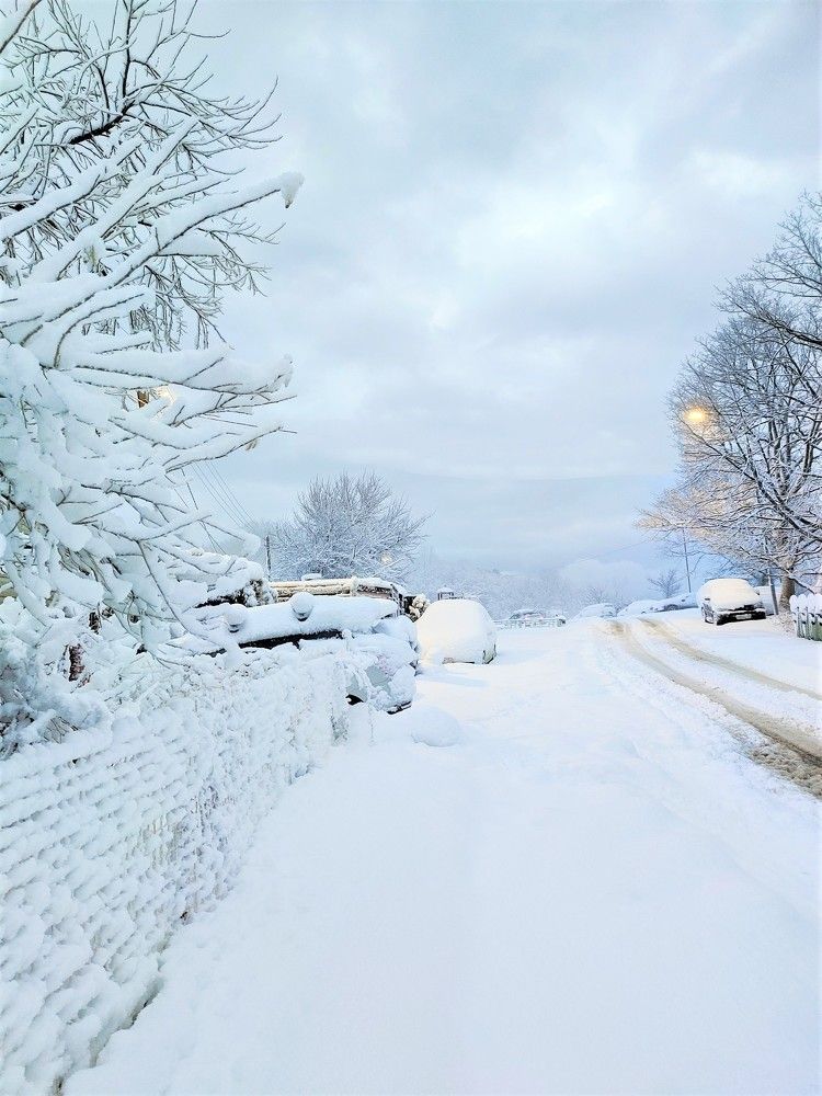 Photograph by Завальнюк Антонина