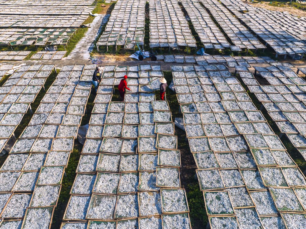 Photograph by Dung Pham