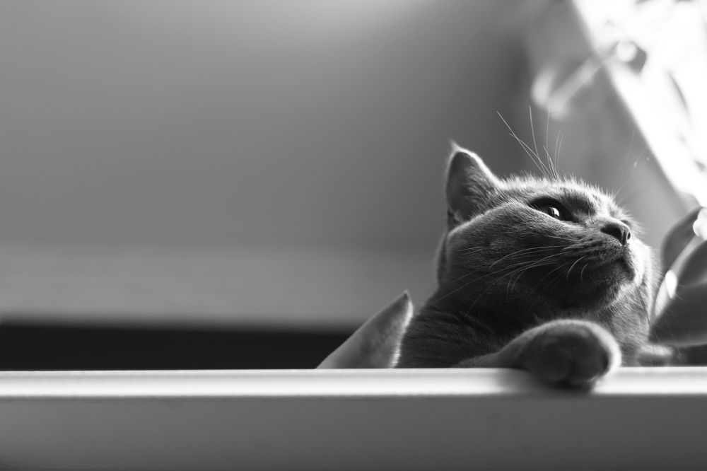 Photograph by Анна Штейнмиллер