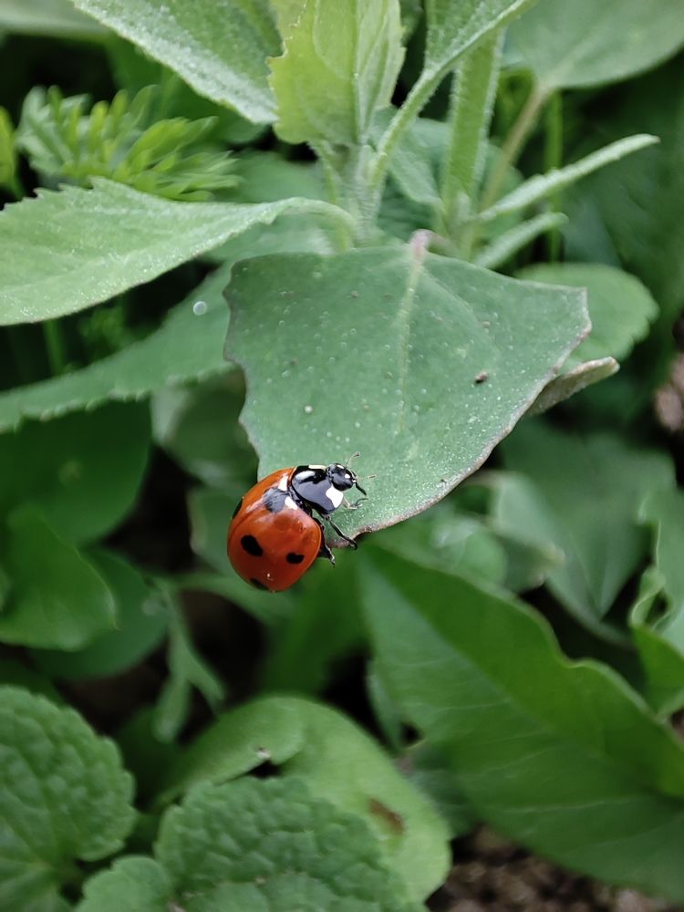 Photograph by Татьяна Чиглинцева