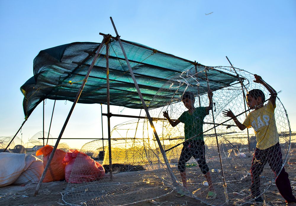 Photograph by fatemeh zarei