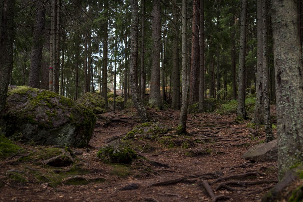 Photograph by Сергей Комаров