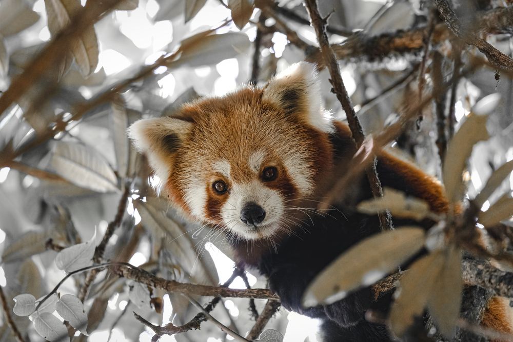 Photograph by Smita Behera