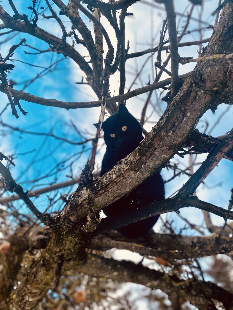 Photograph by Laura Simanaviciute