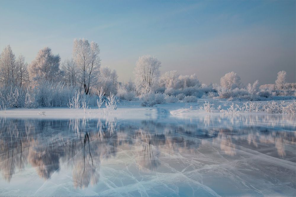 Застывшие в рассвете