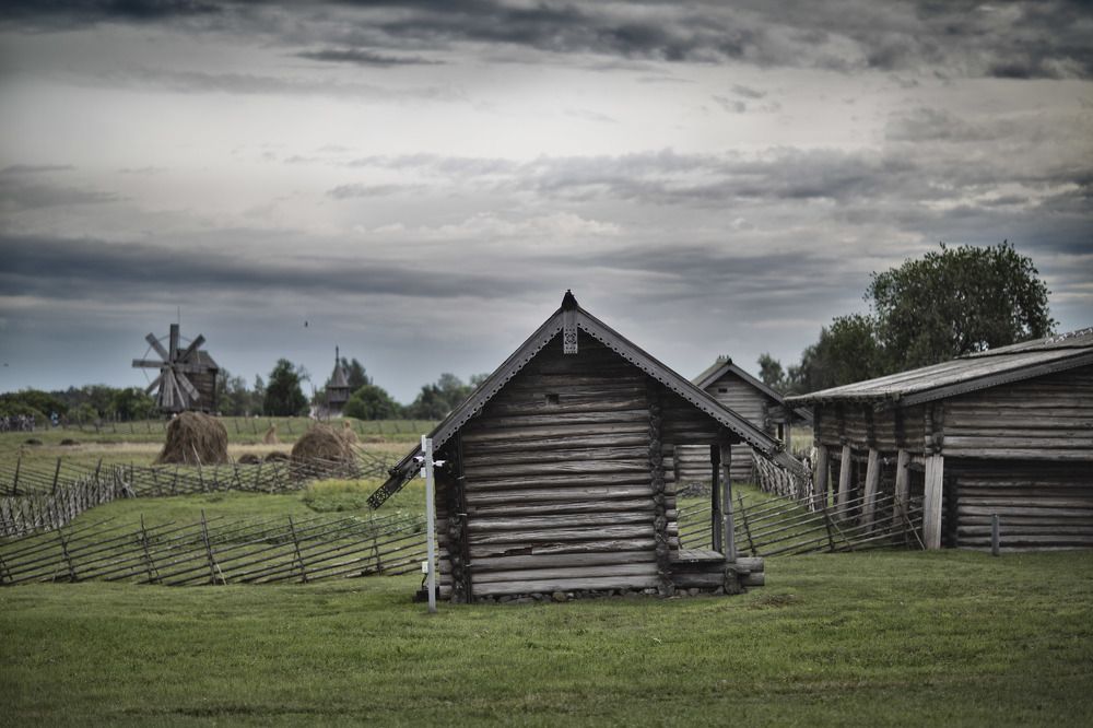 Фотография автора Дарья Могилевцева