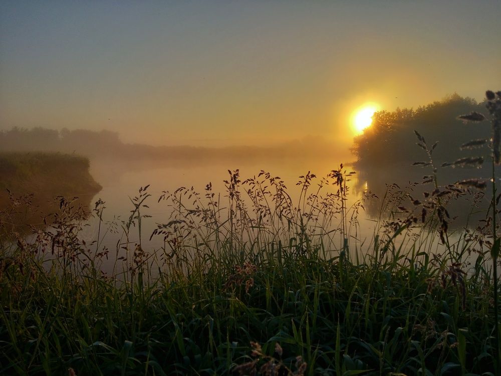 Туманное утро...