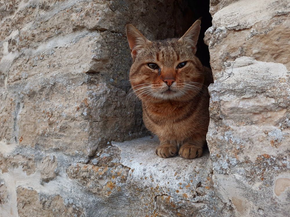 Photograph by Ольга Михайлова