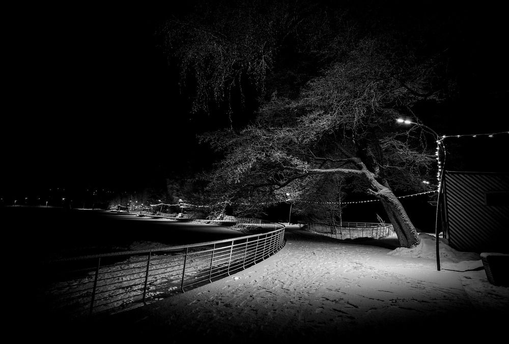 Photograph by Samuel