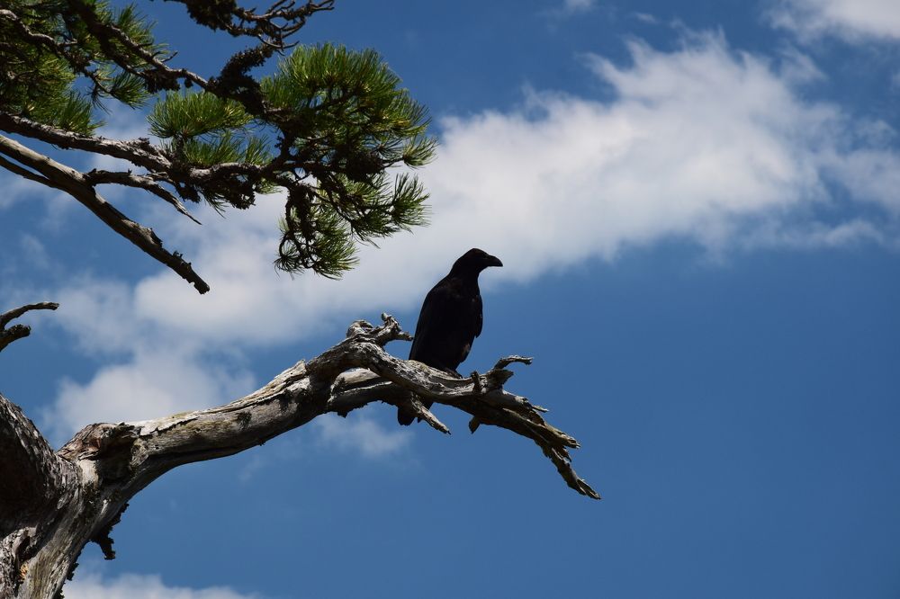 Photograph by Maiya Bulatova