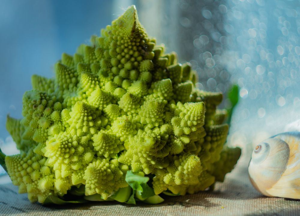 Photograph by Наталья Заровнева