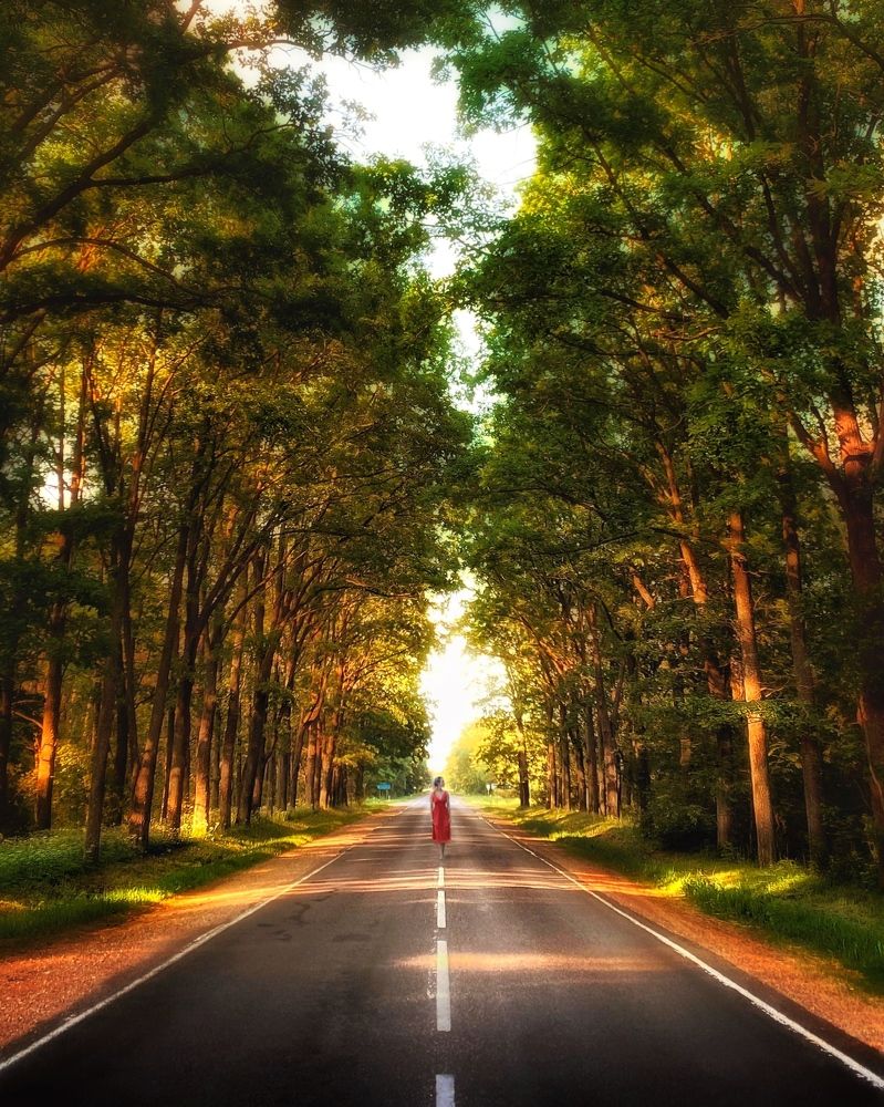 Photograph by Протасов Сергей