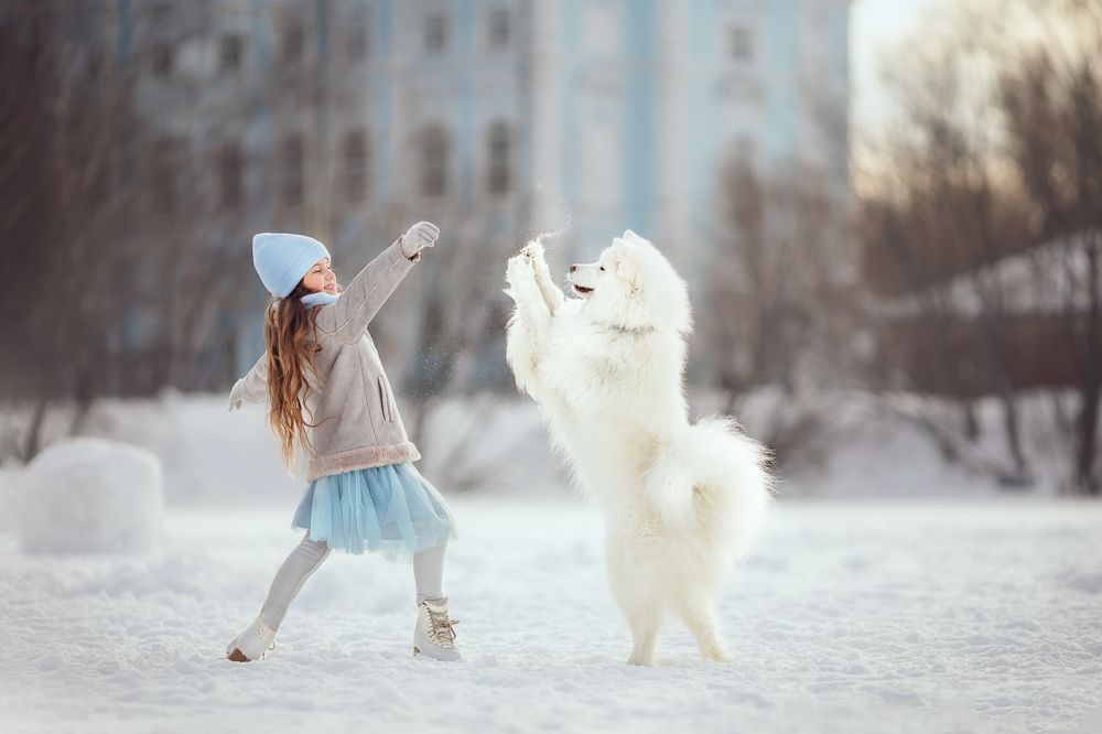 Photograph by Костюк Зоя