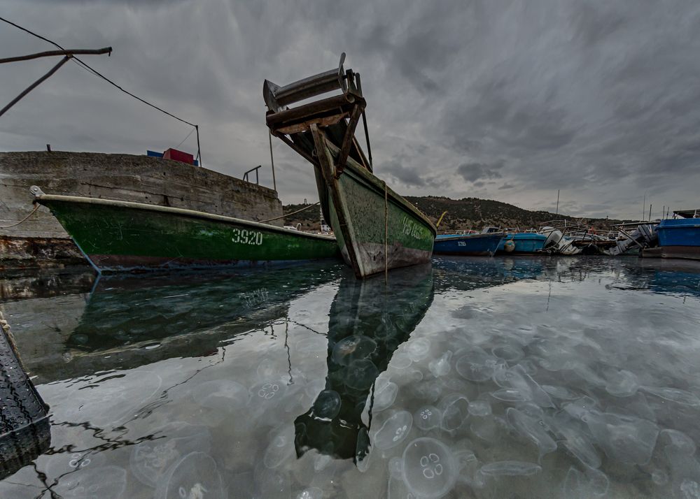 Photograph by Валерий Лейко