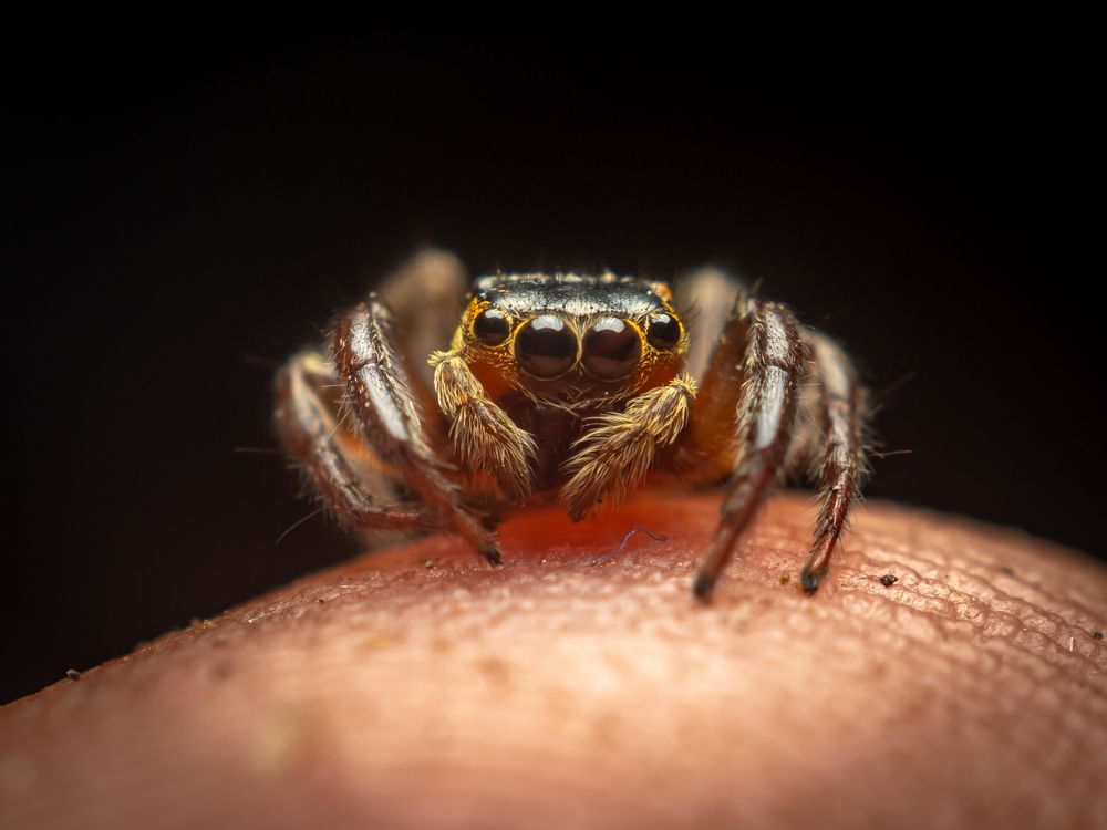 Photograph by Jose Martin Ceja Medina