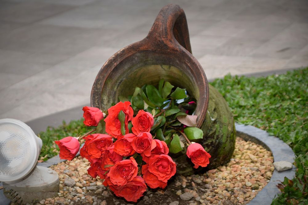 Фотография автора James Arnold Baga