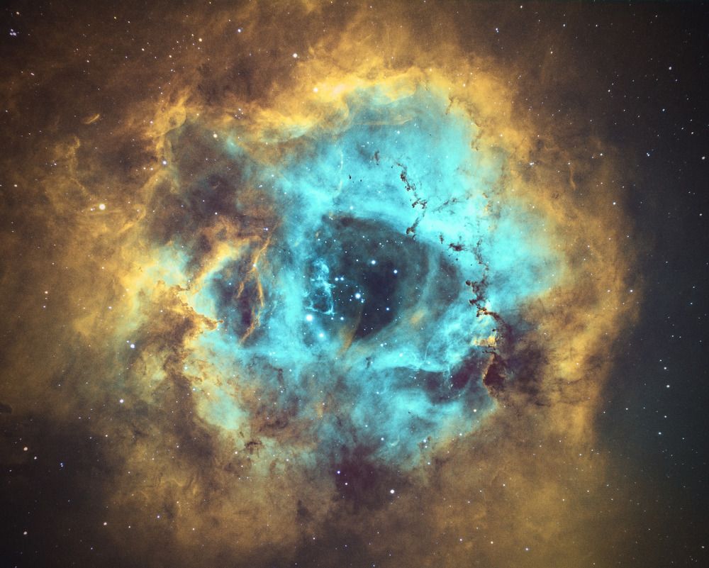 The Rosette Nebula