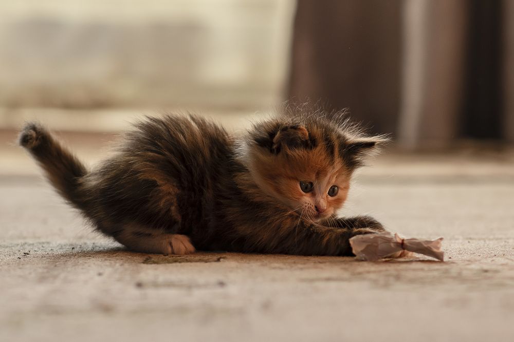 Photograph by Елена Баженова