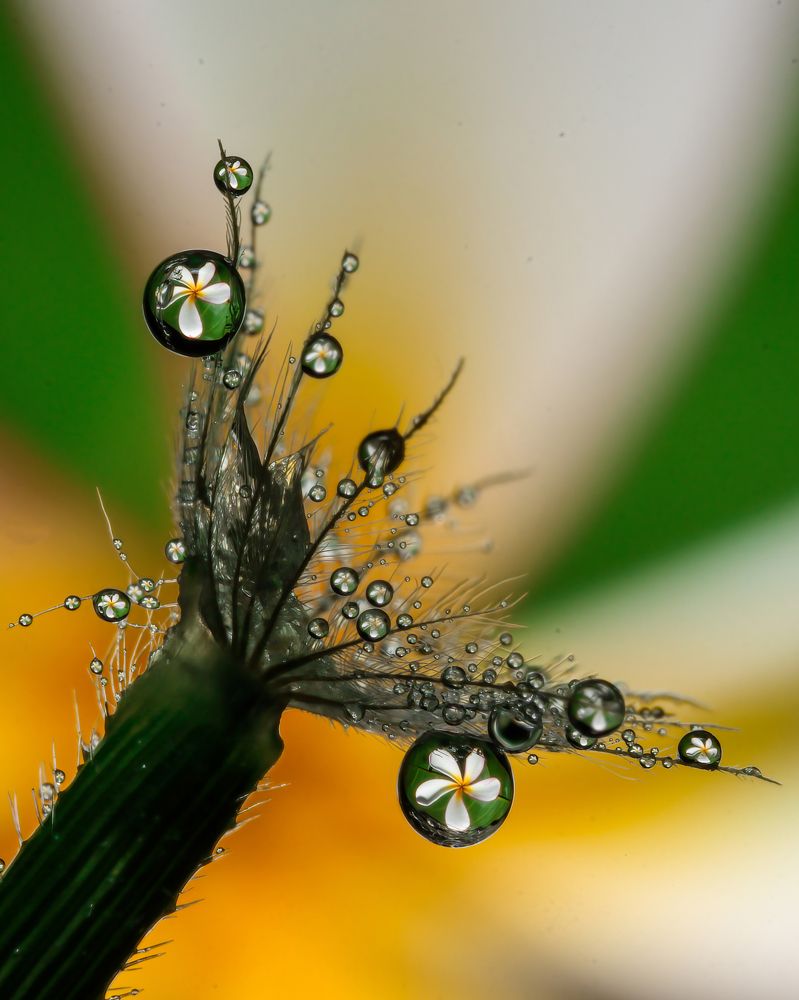 Photograph by Dhruv Shilpi