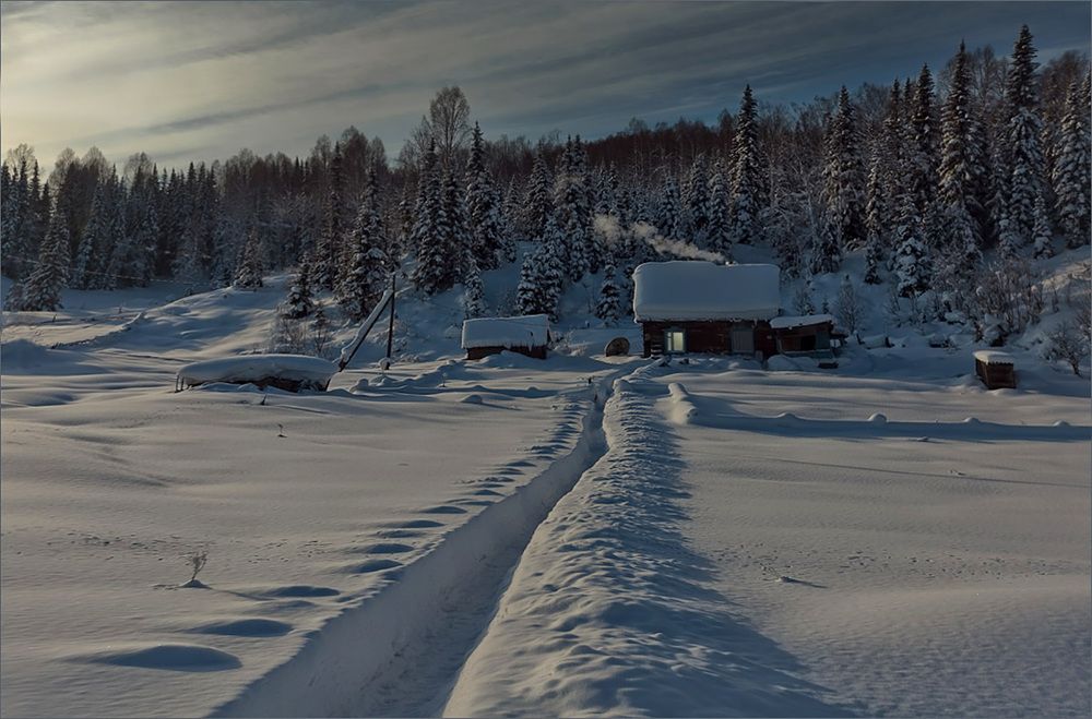 Photograph by Александр Гусаков